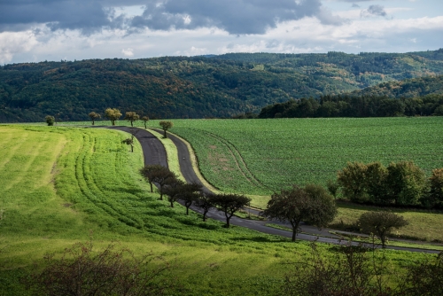 65-Velká Buková