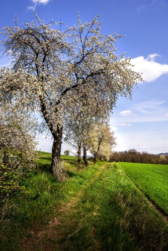 70-Svatojakubská cesta - Železná