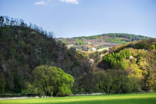 74-Višňová u Velké Bukové